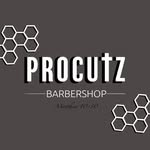 Procutz